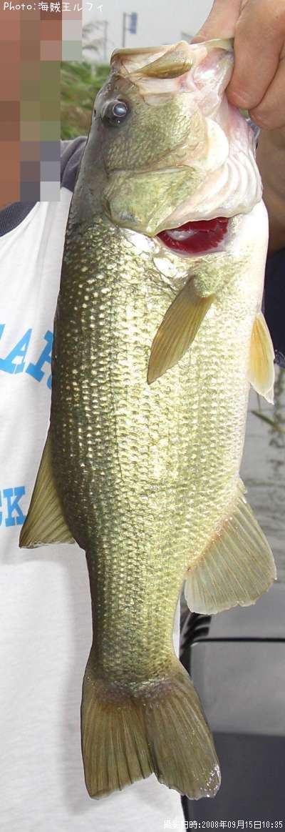 �֥�å��Х�