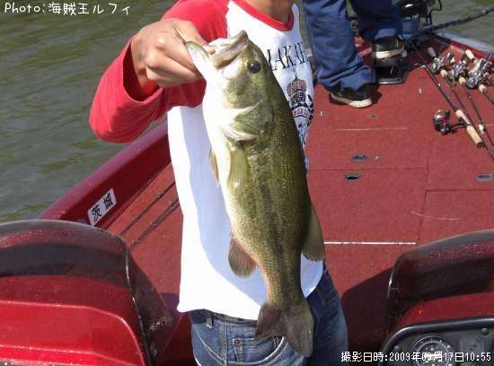 �֥�å��Х�