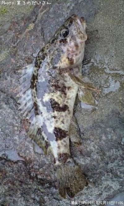 �����Υ���Х�