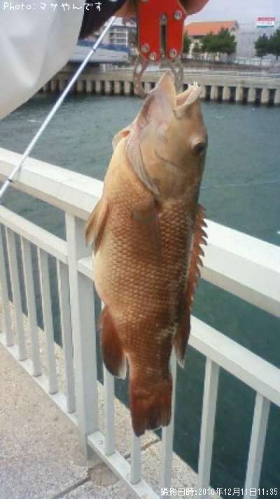 ���֥���