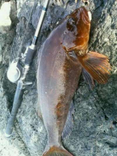 �����ʥ�