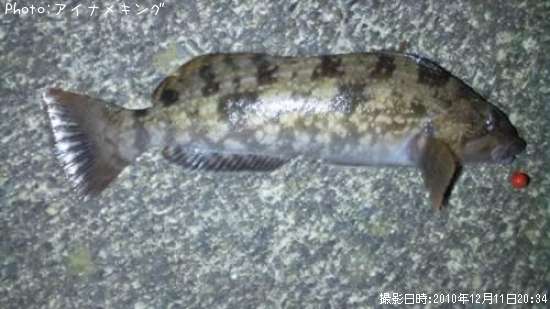 �����ʥ�