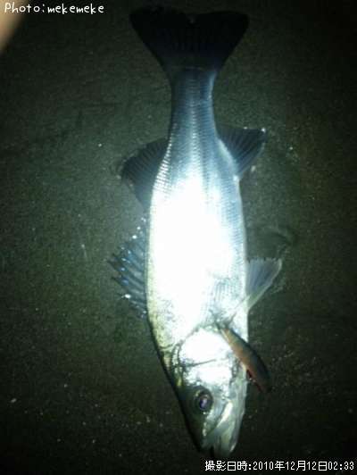 �ҥ饹����