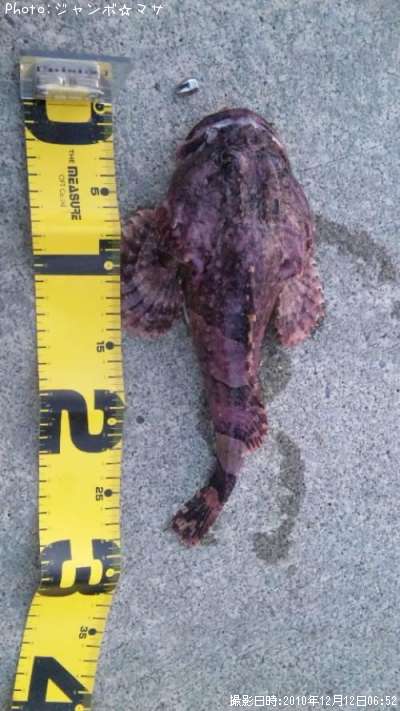 ���ॷ������