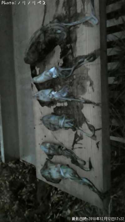 ��������ã