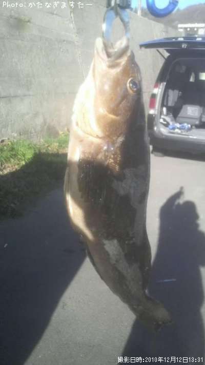 �����ʥ�