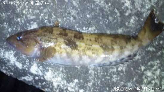 �����ʥ�