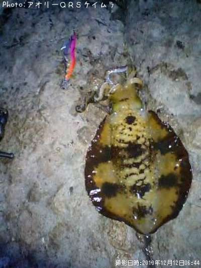 �����ꥤ��