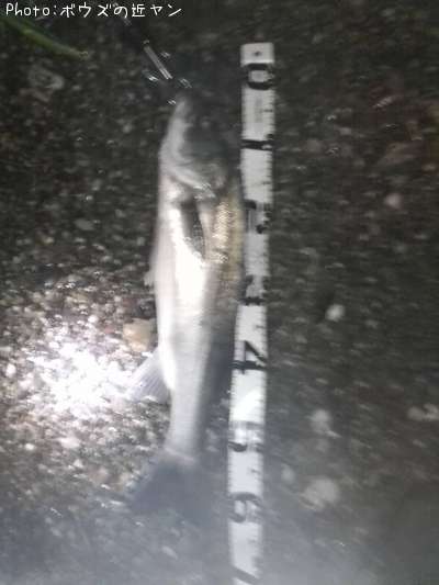 �����ꥯ������