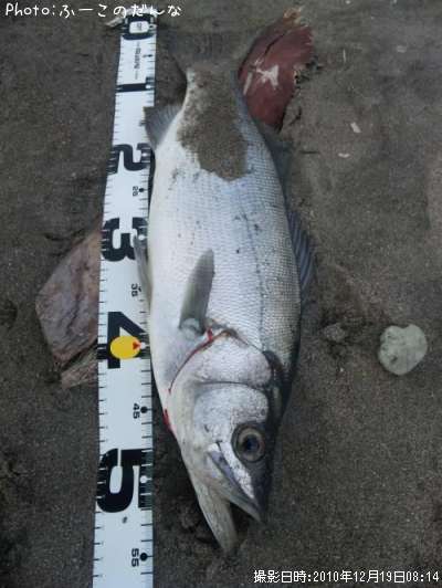 �ҥ饹����