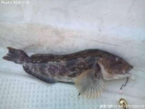 �����ʥ�