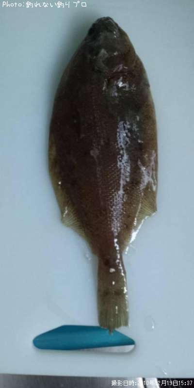 �����ꥬ�쥤