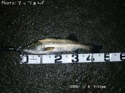 �ޥ륹����