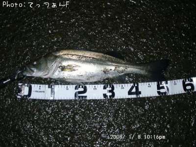 �����ꥯ������