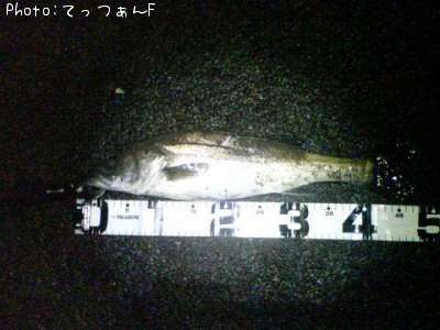 �����ꥯ������