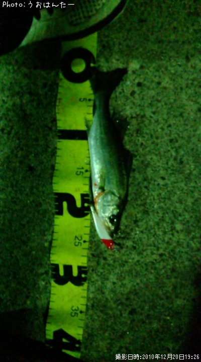 �����Х�