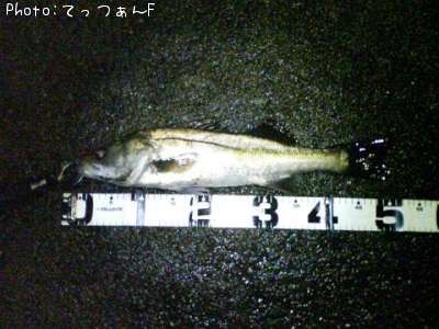 �����ꥯ������