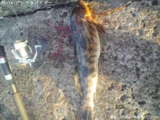 �����ʥ�