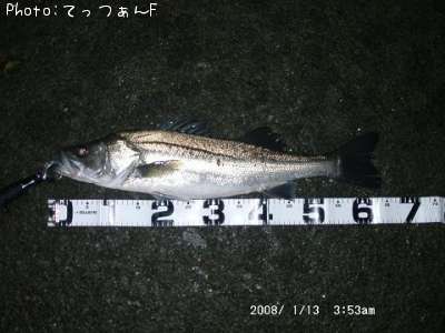 �����ꥯ������