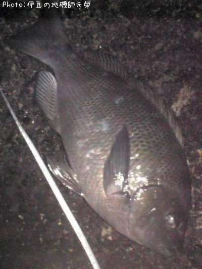 �����᥸��