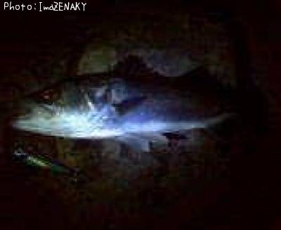 �����Х�