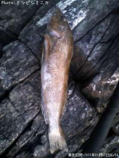 �����ʥ�