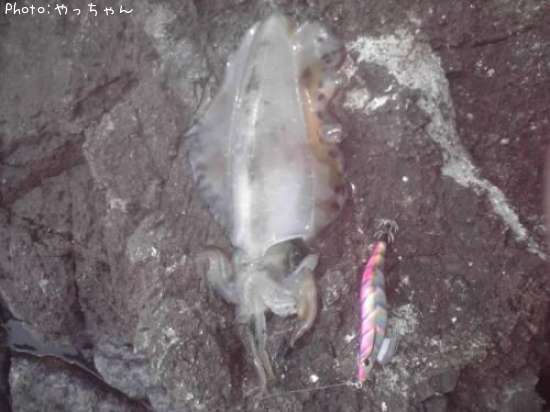 �����ꥤ��