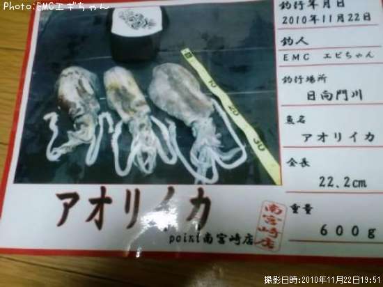 �����ꥤ��