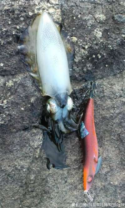 �����ꥤ��