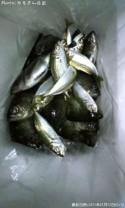 ������������Х�