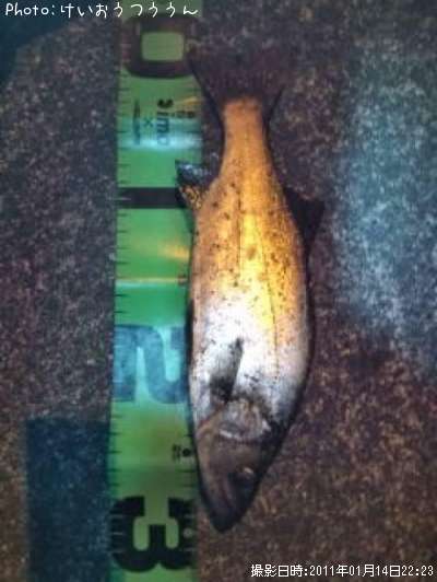 �ҥ饻����