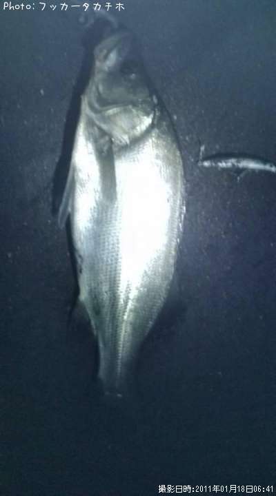 �ҥ饹����