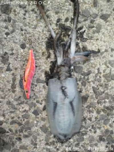 �ߥ�����