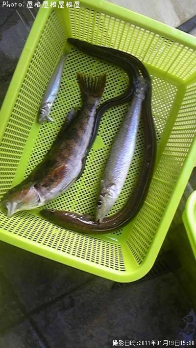 �����ʥᡡ���ʥ�������