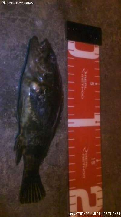 �����Υ���Х�