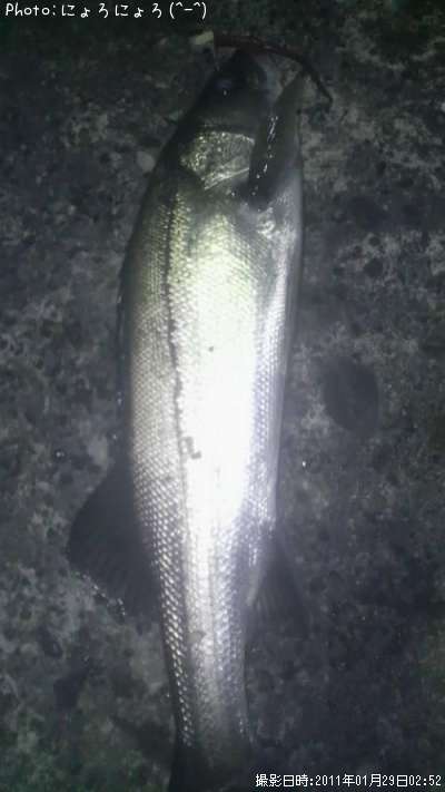 �����Ф���ʡ��١��ˡݡ�