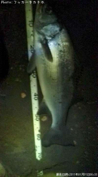 �ҥ饹����