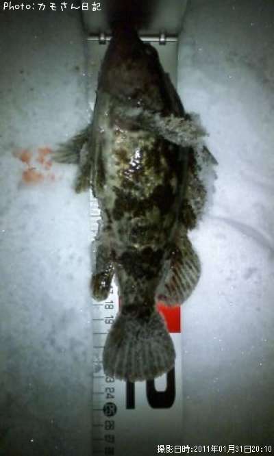 �٥å�������