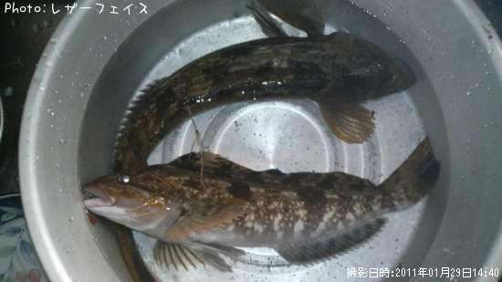 �����ʥ�