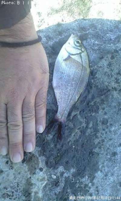 �����ʥ�