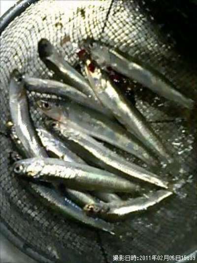 �����������亮