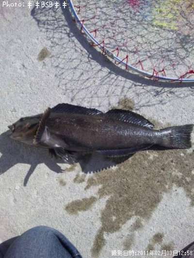 �����ʥ�