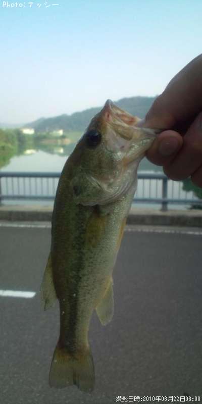 �֥�å��Х�