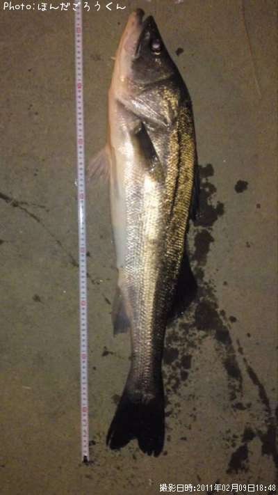 �����Х�