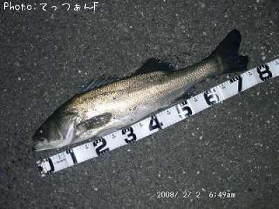 �����ꥯ������