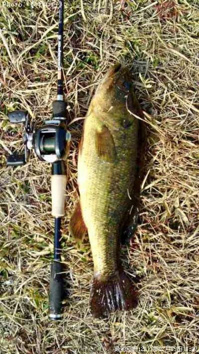 �֥�å��Х�