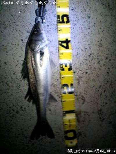 �����Х�