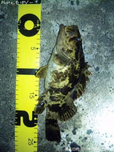 �����Υ���Х�