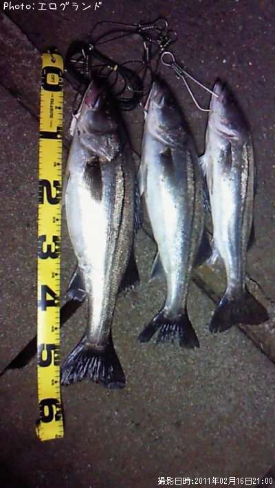 �����Х�