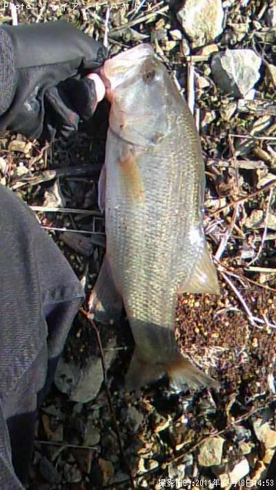 �֥�å��Х�